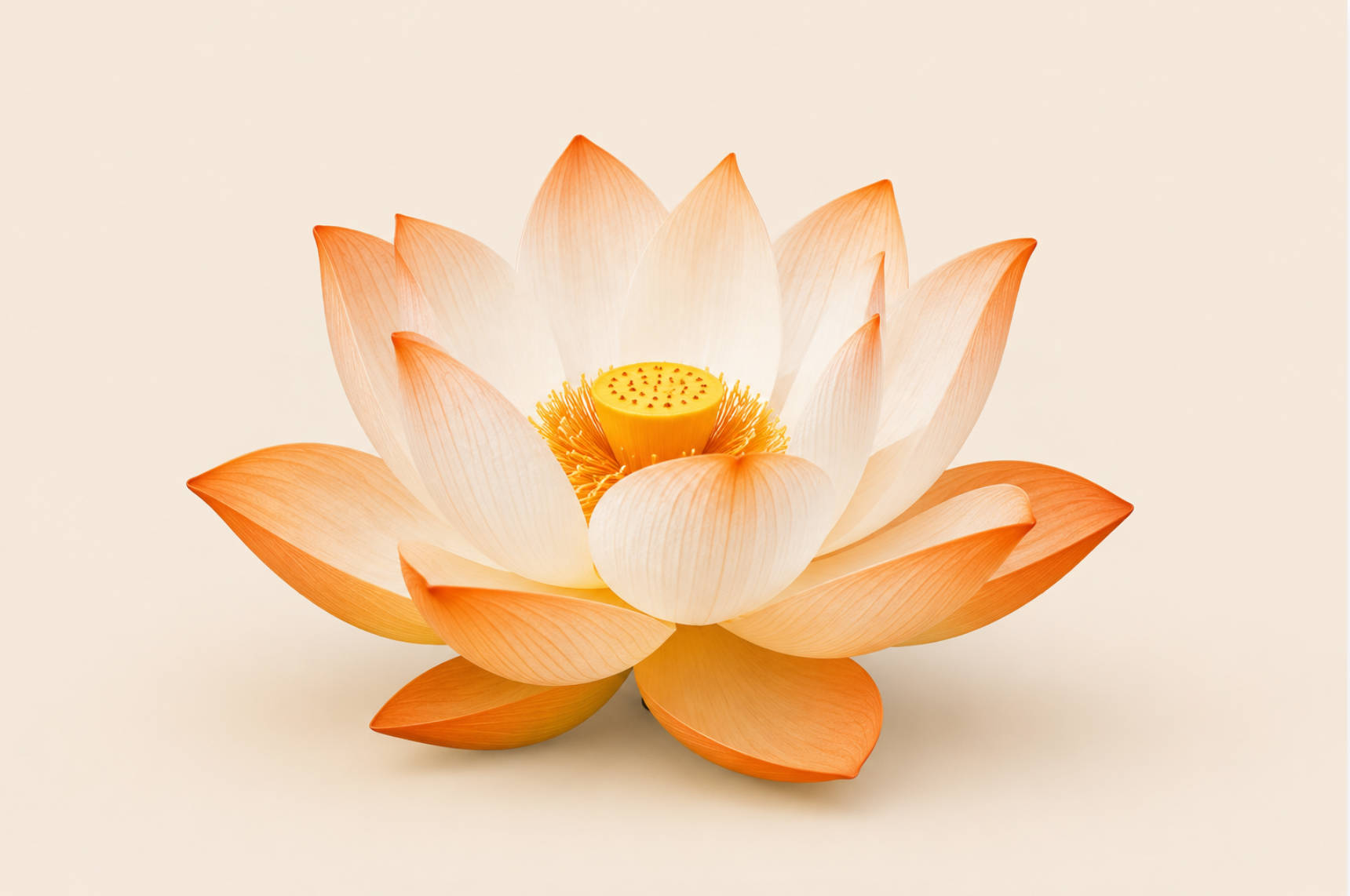 Flor de loto blanca en el agua, símbolo de pureza y conocimiento