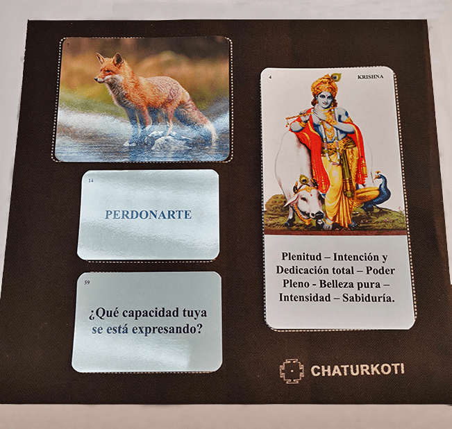 Kit físico de Indicadores y Soluciones
